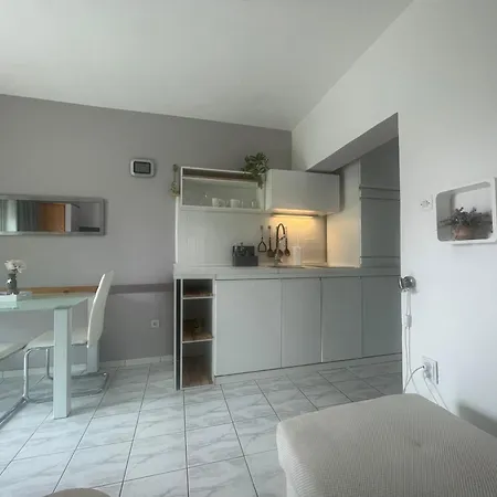 Tanja Renovated In 2025