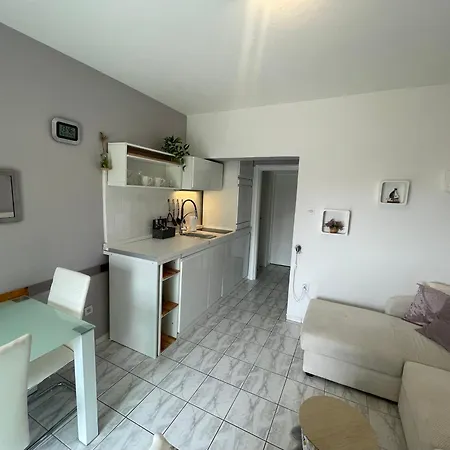 Tanja Renovated In 2025 *